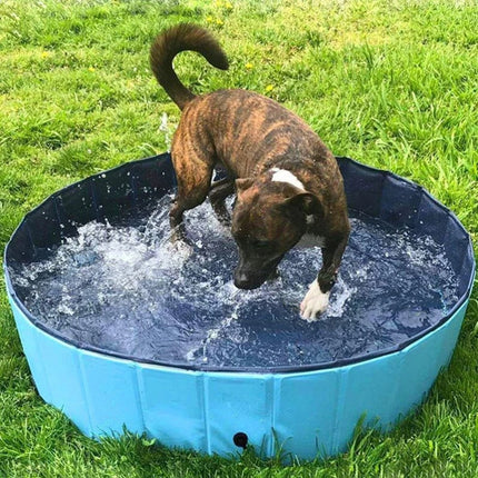 Foldable Pet Pool