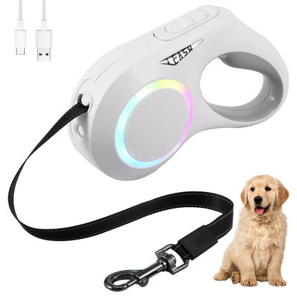 Dog Leash with LED Light