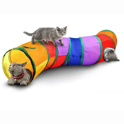 Cat Playing Tunnel