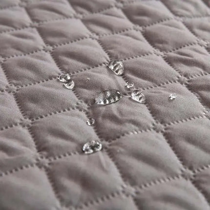 Waterproof Pet Mat