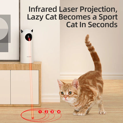 LED Laser Indoor