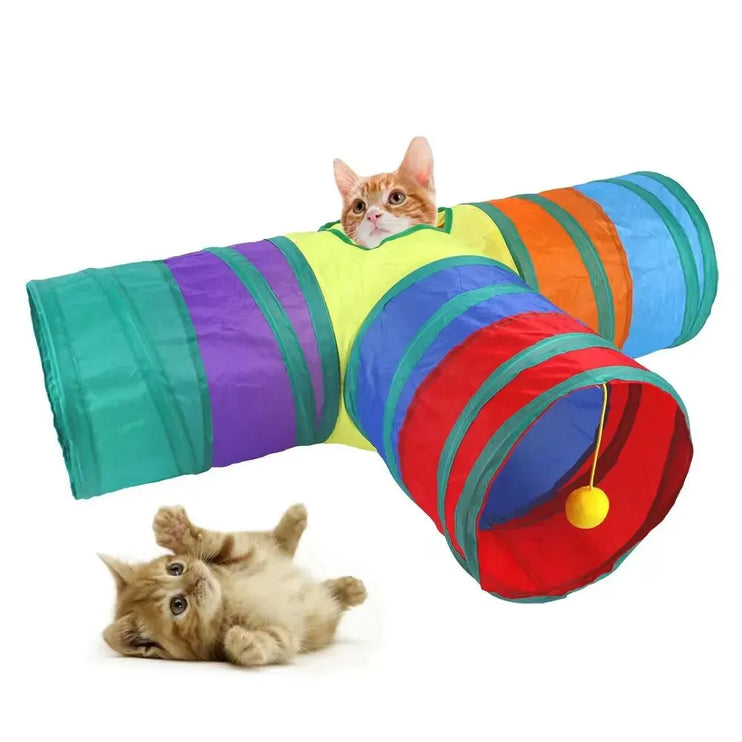 Cat Playing Tunnel