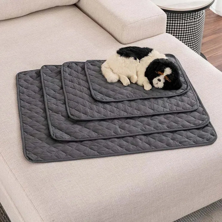 Waterproof Pet Mat