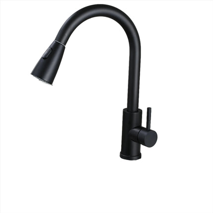 Single Pull Out Kitchen Faucet