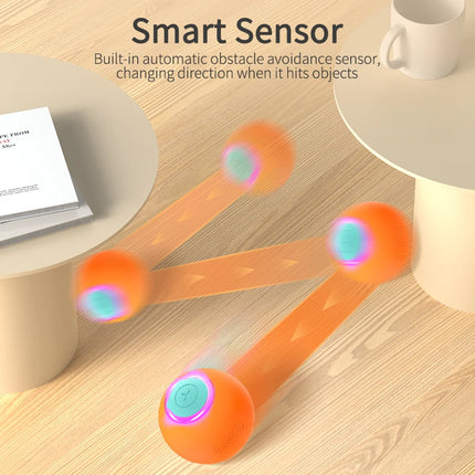 Smart Pet Toys