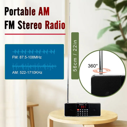 Portable Radio