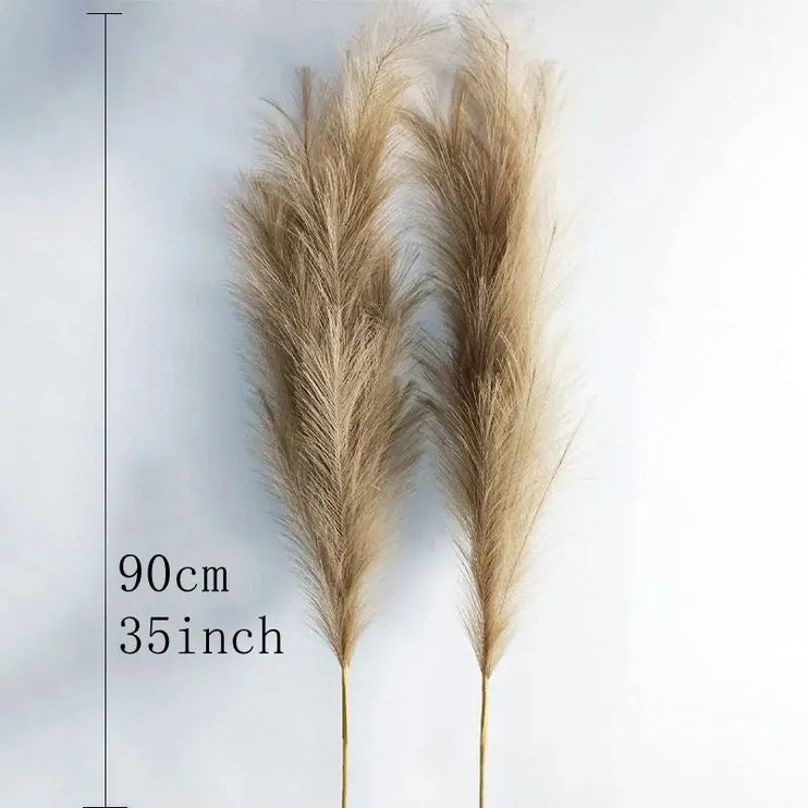 Fluffy Tall Pampas