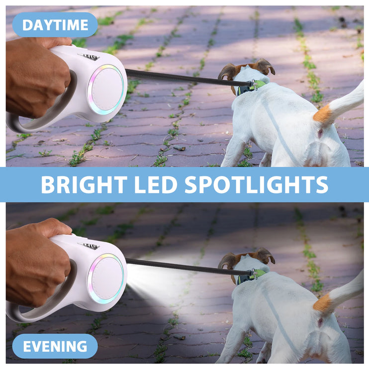 Dog Leash with LED Light