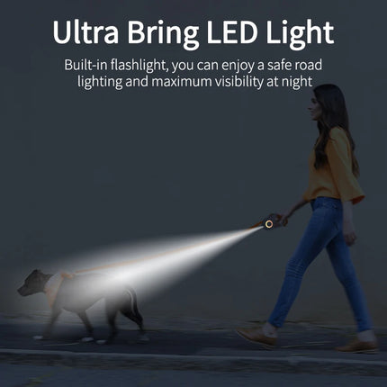 LED Leash