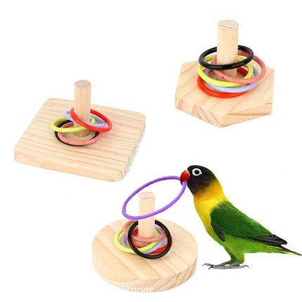 Parrot Training Toys