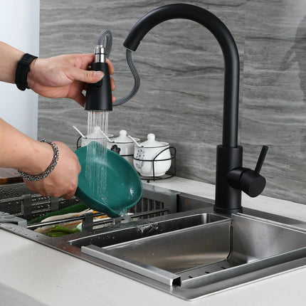 Single Pull Out Kitchen Faucet