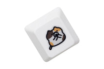 CalicoC E Keycap x1